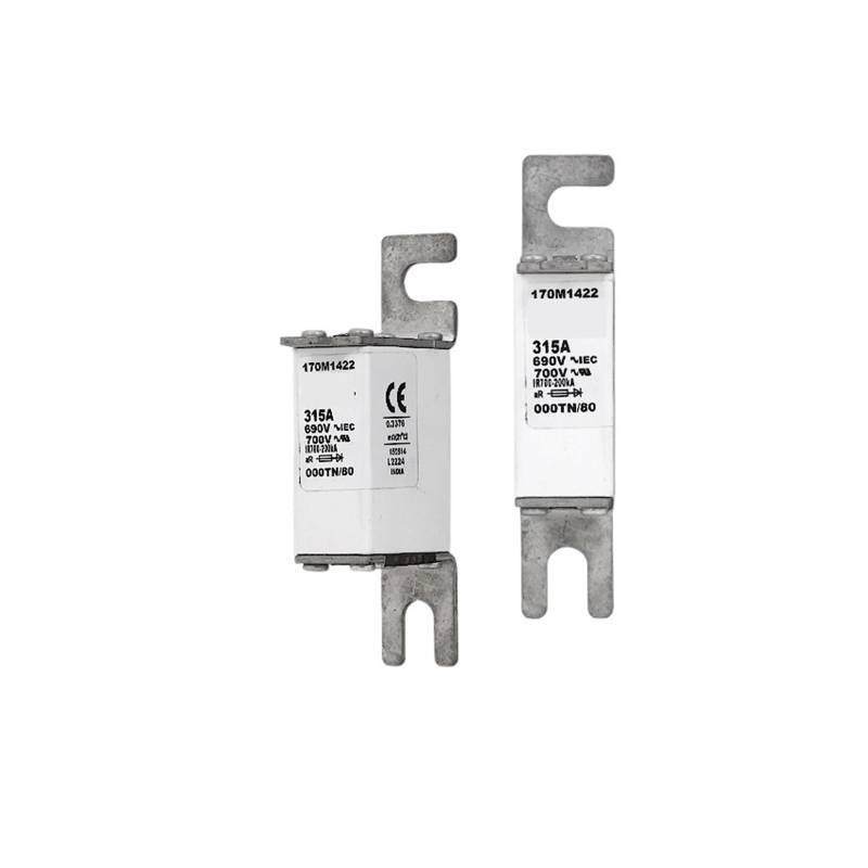 Sicherung 170M5311 von OSQZHBFE