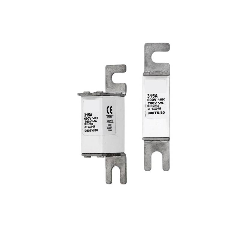 Sicherung 170M6645 von OSQZHBFE