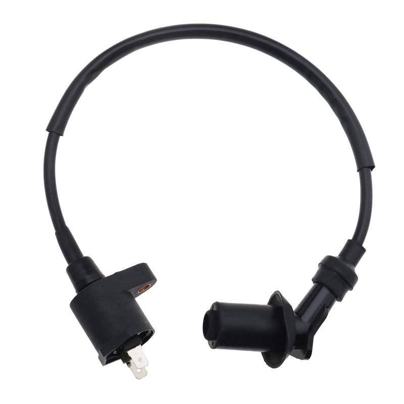 OTOTEC 2-polige Zündspule Zündkerzenkabel, kompatibel mit GY6 139QMA 50cc 125cc 150cc Motoren Moped Scooter Quad Dirt Bike ATV Dune Bugg Ersatz Lgnition Coil Modul von OTOTEC