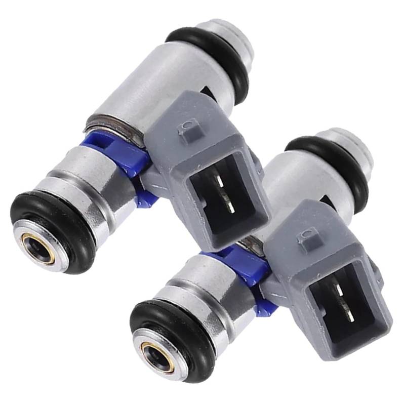 OTOZUM Auto Einspritzdüse Kompatibel Mit VW Für Derby 1995 1996 1997 1998 1999 2000 2001 2002 2003 2004 2005 2006-2009 IWP158 2 Stück Auto-Benzin-Einspritzdüsen von OTOZUM