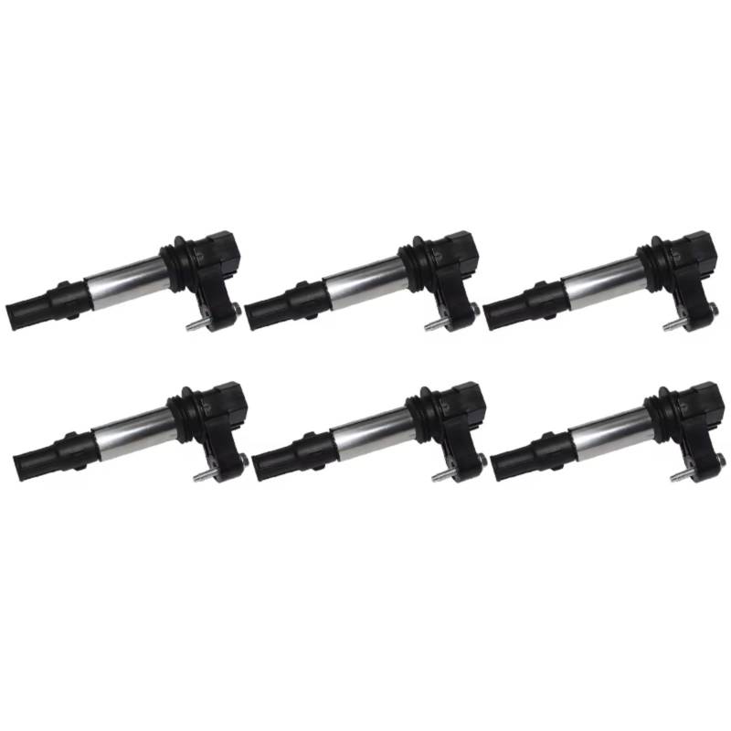 OTOZUM Blockzündspule Kompatibel Mit Buick Für Allure Für Lacrosse 2005 2006 2007 2008; Für Rendezvous V6-3.6l 2004 2005 2006; 6 Stück Autozündspulen 12613057 von OTOZUM