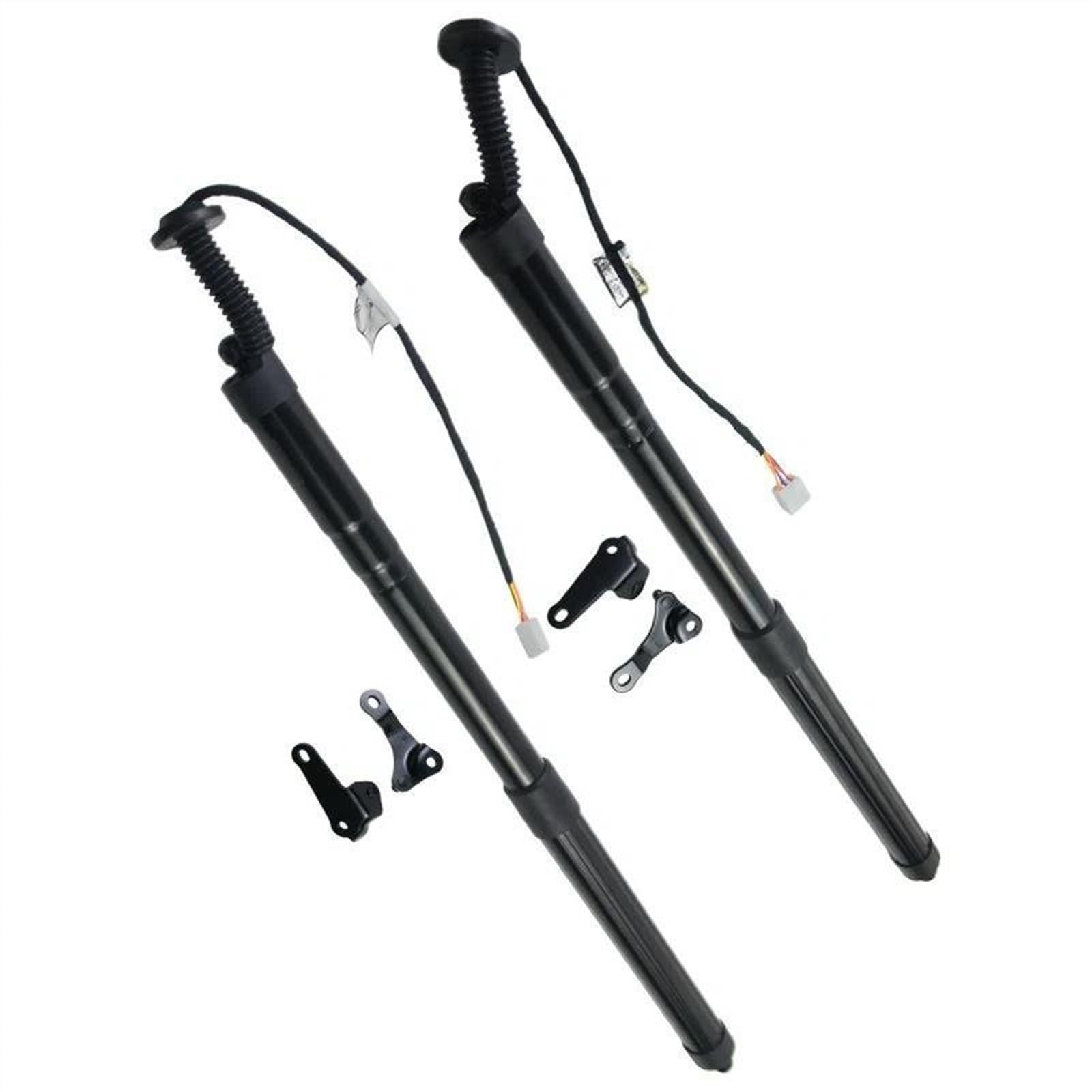 OTOZUM Gasdruckfeder Heckklappe Kompatibel Mit Lexus NX300h NX200t 2019 2020 2018 2017 2016 2015 Auto Heckklappenstrebe 6892079016 6891079016 6891079005 68910-79005 OTOZUM Gasdruckfeder Heckklappe Kompatibel Mit Lexus NX300h NX200t 2019 2020 2018 2017 2016 2015 Auto Heckklappenstrebe 6892079016 6891079016 6891079005 68910-79005 von OTOZUM