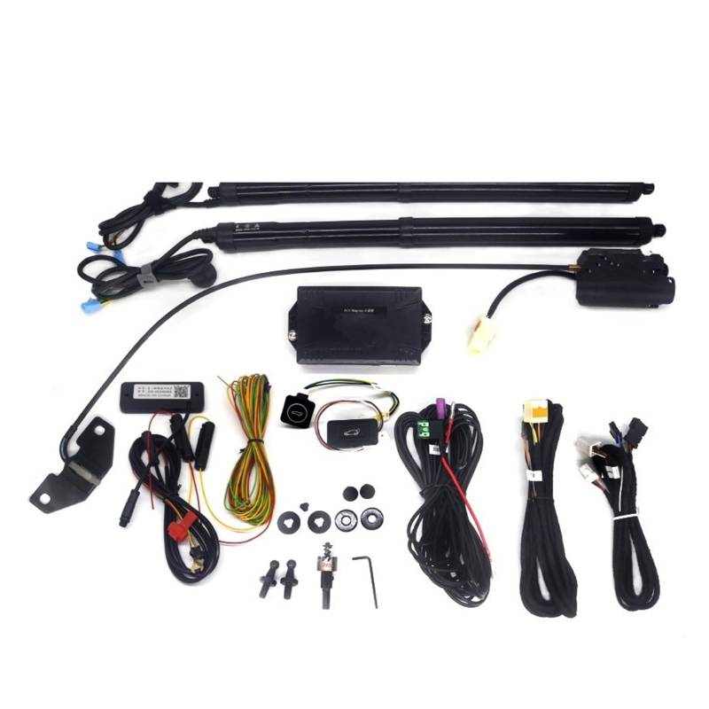 Heckklappendämpfer Für Chevrolet Für Captiva 2012-2023 Elektrische Heckklappe Hebebühne Auto Automatische Kofferraum Öffnung Elektrische Motor Kofferraum Gasfeder(with Kick Sensor) von OUVECR