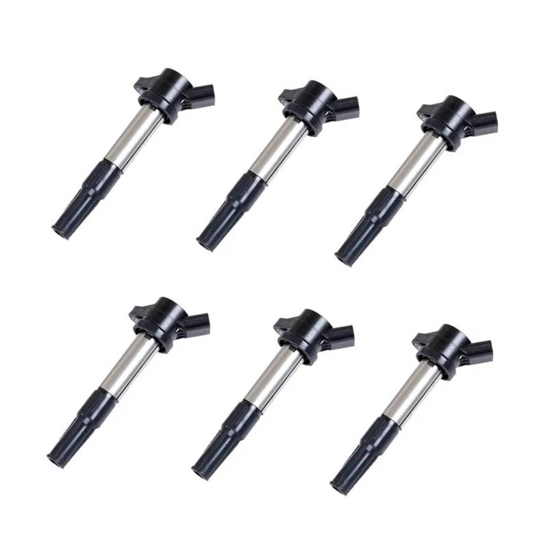 6PCS Zündspule 19005277 96414260 25181813 KM10565 96414260 Kompatibel for CHEVROLET EPICA 2,0 (105kw) Kompatibel for EPICA 2,5 (115kw) 06-11 von OVWIOQJC