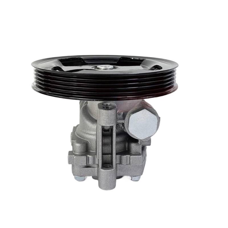Servolenkung Ölpumpe Kompatibel Für Mitsubishi Pajero Pinin Montero IO 4WD 1999-2005 MR519445 von OVWIOQJC