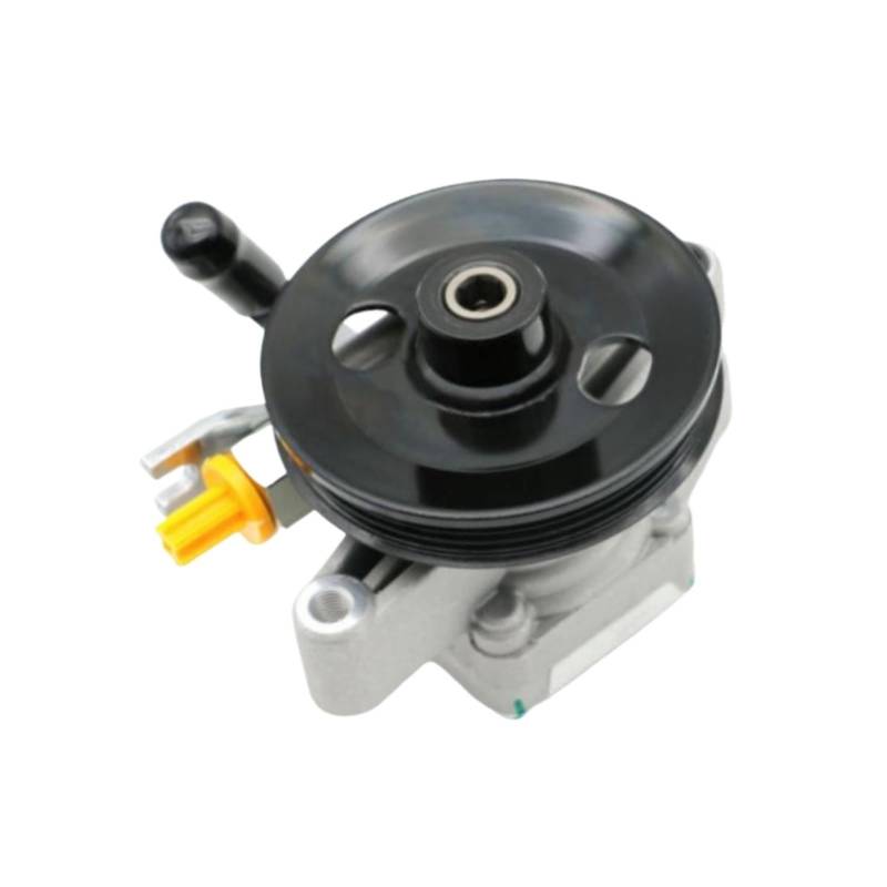Servolenkung Pumpe AA1788562FS Zubehör Kompatibel Für Hyundai Tucson 2,0 L 05-09 von OVWIOQJC