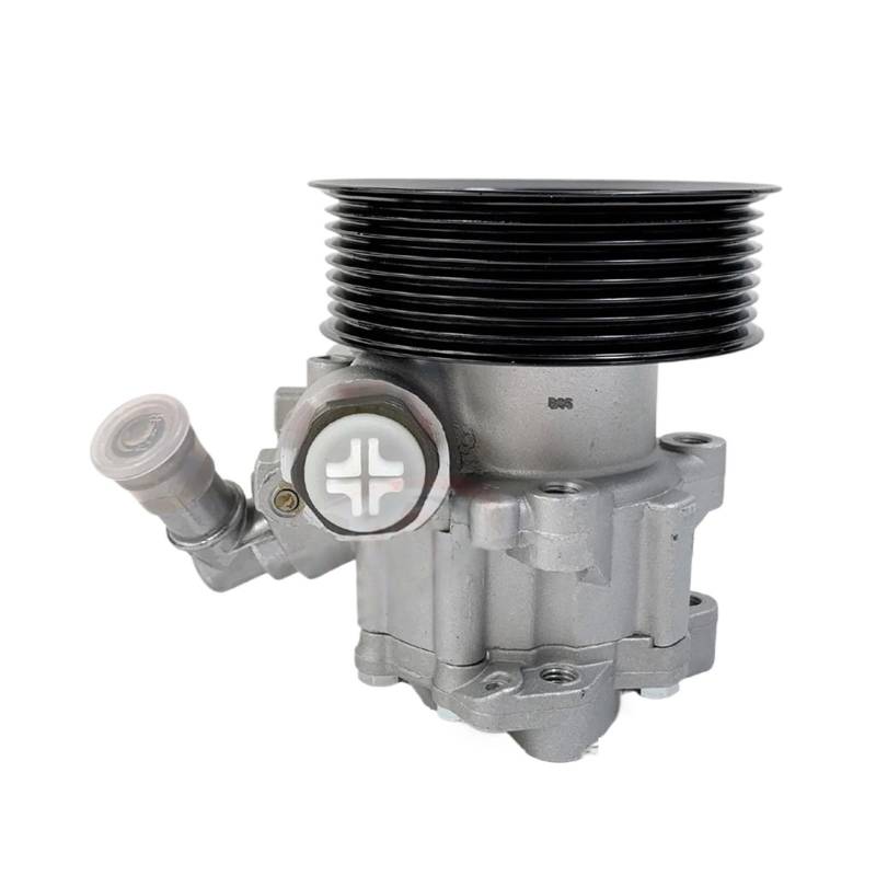 Servolenkung Pumpe Kompatibel Für LAND ROVER RANGE ROVER III (L322) 2006-2012 7H423A69 6AA 7696974131 LR009776 QVB500630 von OVWIOQJC