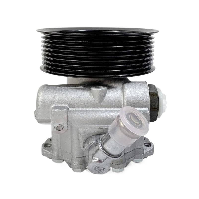 Servolenkung Pumpe Kompatibel Für LAND ROVER RANGE ROVER III (L322) 2006-2012 7H423A69 6AA 7696974131 LR009776 QVB500630 von OVWIOQJC