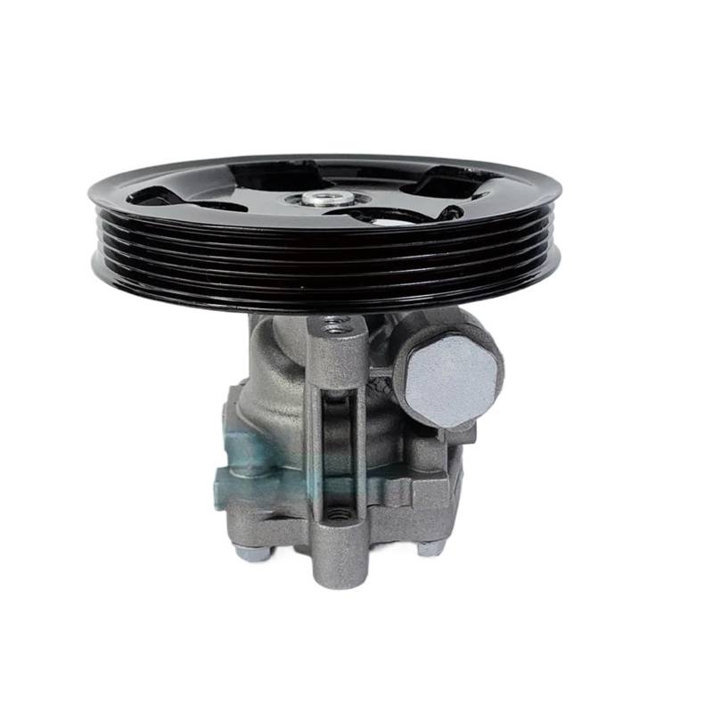Servolenkungspumpe kompatibel für Mitsubishi Pajero Pinin Montero IO TR4 H66 H67 H76 H77 4WD 1999-2005 MR519445 von OVWIOQJC