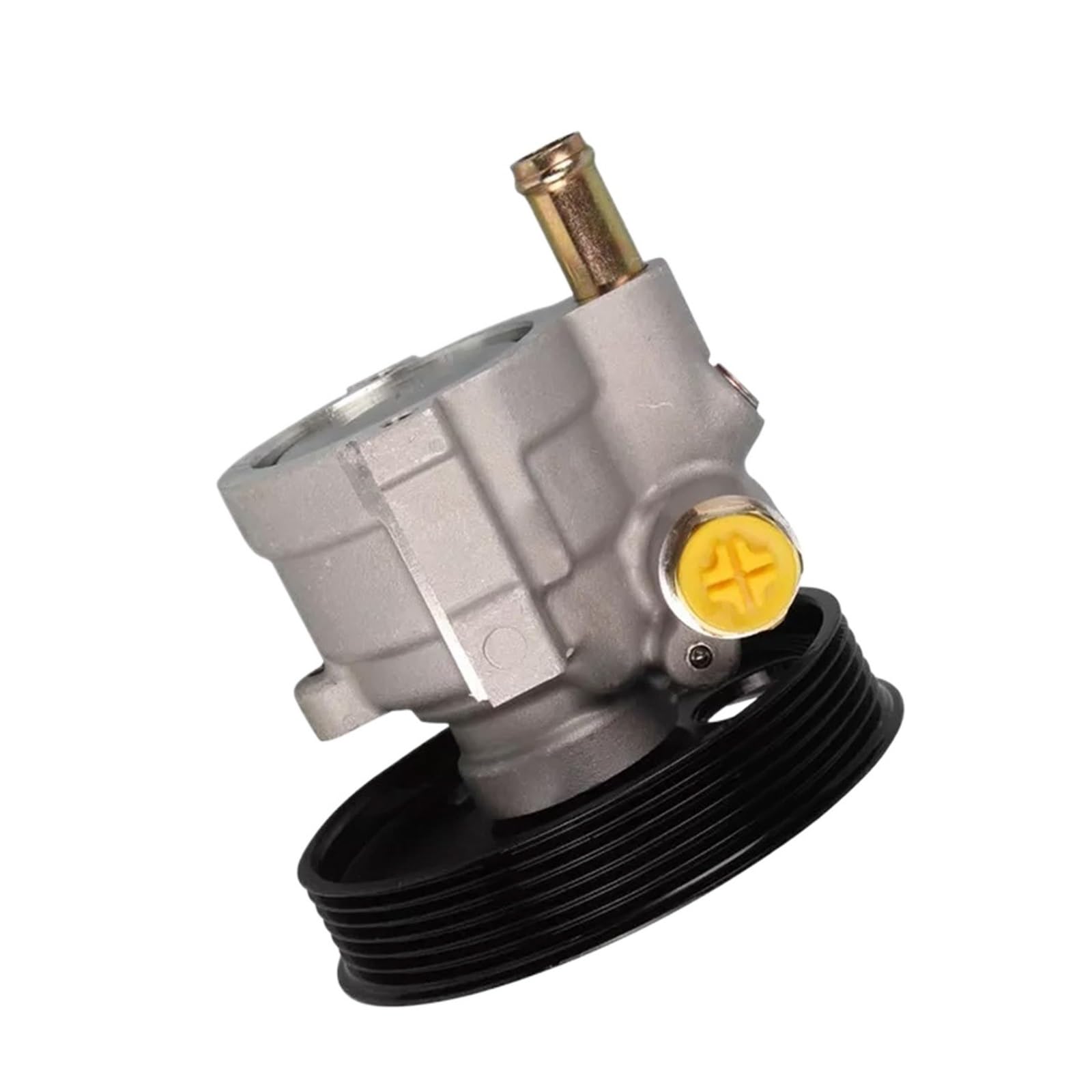 Servopumpe 49110-00Q0E 49110-5514R B200113599 Kompatibel für Renault Kangool Clio Logan Kompatibel für Nissan Platina Kompatibel für Lada Largus K4M Servopumpe 49110-00Q0E 49110-5514R B200113599 Kompatibel für Renault Kangool Clio Logan Kompatibel für Nissan Platina Kompatibel für Lada Largus K4M von OVWIOQJC