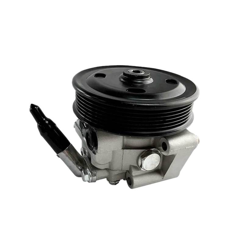 Servopumpe LR0025803 Kompatibel für LAND ROVER FREELANDER2 LR001106 LR005658 LR006462 LR007500 6G913A696EF 9G913A696EA 1471473 von OVWIOQJC