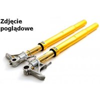 Stoßdämpfer OHLINS OH FGRT 207 von Ohlins