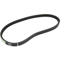Keilrippenriemen OPTIBELT 1001000AP von Optibelt