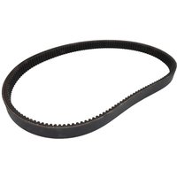 Keilrippenriemen OPTIBELT 1001209AP von Optibelt