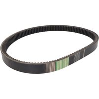 Keilrippenriemen OPTIBELT 1001503AP von Optibelt