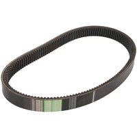 Keilrippenriemen OPTIBELT 1001538AP von Optibelt