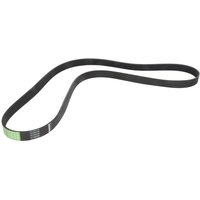 Keilrippenriemen OPTIBELT 1003185AP von Optibelt