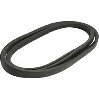 Keilrippenriemen OPTIBELT 1003572AP von Optibelt