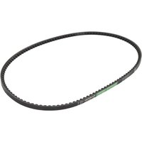 Keilrippenriemen OPTIBELT 1005417AP von Optibelt