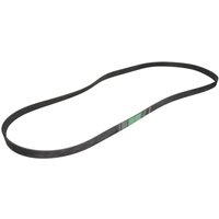 Keilrippenriemen OPTIBELT 1005625AP von Optibelt