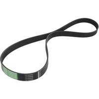 Keilrippenriemen OPTIBELT 1002646AP von Optibelt