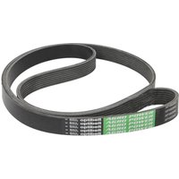 Keilrippenriemen OPTIBELT 1002663AP von Optibelt