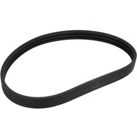 Keilrippenriemen OPTIBELT 1003626AP Keilrippenriemen OPTIBELT 1003626AP von Optibelt