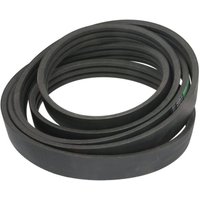 Keilrippenriemen OPTIBELT 1003843AP Keilrippenriemen OPTIBELT 1003843AP von Optibelt