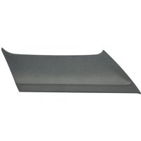 Stoßfänger - Blende PACOL MAN-FB-078L Links Stoßfänger - Blende PACOL MAN-FB-078L Links von Pacol