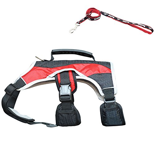 PALMFOX Outdoor Hundeleinen & Weste Harness Set Breathable Weiche Air Mesh Gepolsterte Harness mit dauerhaften Griff Reflektierende Kanten Einfache Kontrolle Kein Pulling L PALMFOX Outdoor Hundeleinen & Weste Harness Set Breathable Weiche Air Mesh Gepolsterte Harness mit dauerhaften Griff Reflektierende Kanten Einfache Kontrolle Kein Pulling L von PALMFOX