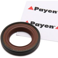 PAYEN Nockenwellendichtung NF846 Nockenwellendichtring,Wellendichtring, Nockenwelle OPEL,RENAULT,NISSAN,Vivaro A Kastenwagen (X83) von PAYEN