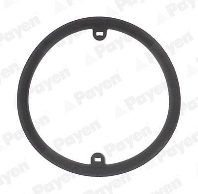 Payen Dichtring, Ölkühler [Hersteller-Nr. KK5686] für Audi, Seat, Skoda, VW von PAYEN