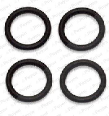 Payen Dichtungssatz, Ansaugkrümmer [Hersteller-Nr. HA5031] für Citroën, Fiat, Ford, Mazda, Mini, Peugeot, Santana, Suzuki, Volvo von PAYEN