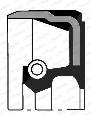 Payen Wellendichtring, Kurbelwelle [Hersteller-Nr. NA5192] für Citroën, Ds, Fiat, Ford, Ford Usa, Fso, Hyundai, Jaguar, Lada, Lancia, Land Rover, Lexu von PAYEN