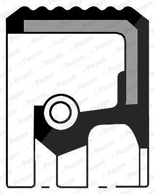 Payen Wellendichtring, Nockenwelle [Hersteller-Nr. NF846] für Aro, Dacia, Mitsubishi, Nissan, Opel, Renault, Suzuki, Vauxhall, Volvo von PAYEN