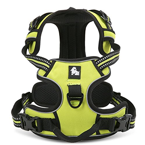 PENTAQ Verstellbare weiche gepolsterte keine Pull Hund Geschirr Outdoor-Abenteuer Haustier Warnweste mit Griff schützenden Nacht Nylon Heavy Duty Sicherheitsgriff für Hund Training oder Walking Haustier Geschirr grün (M (56-69cm) PENTAQ Verstellbare weiche gepolsterte keine Pull Hund Geschirr Outdoor-Abenteuer Haustier Warnweste mit Griff schützenden Nacht Nylon Heavy Duty Sicherheitsgriff für Hund Training oder Walking Haustier Geschirr grün (M (56-69cm) von PENTAQ