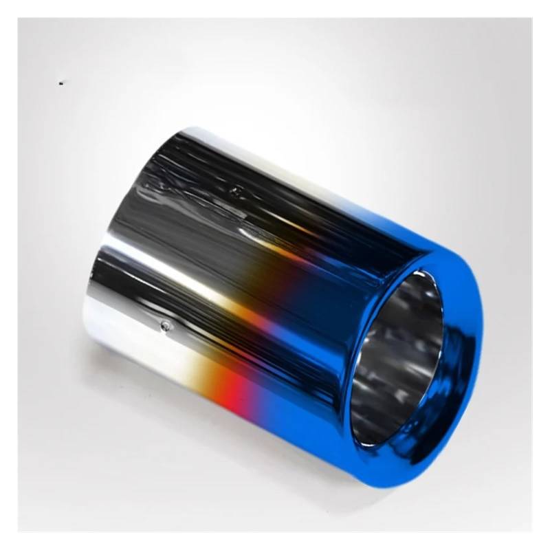 Auspuffendrohr Für X3 G01 Für X4 G02 2019 2020 2021 2022 Auspuffblende Edelstahl Schwarz/Silber Auspuffblende Düse Autozubehör Auspuff Endrohr(Blue 1PC) von PEPKWELYCB