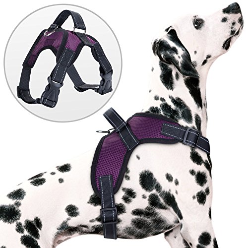 Hundegeschirre, PETBABA Reflektierend Weich Air Mesh Verstellbar Brustgeschirre mit Griff für Hunde - L in Lila von PETBABA