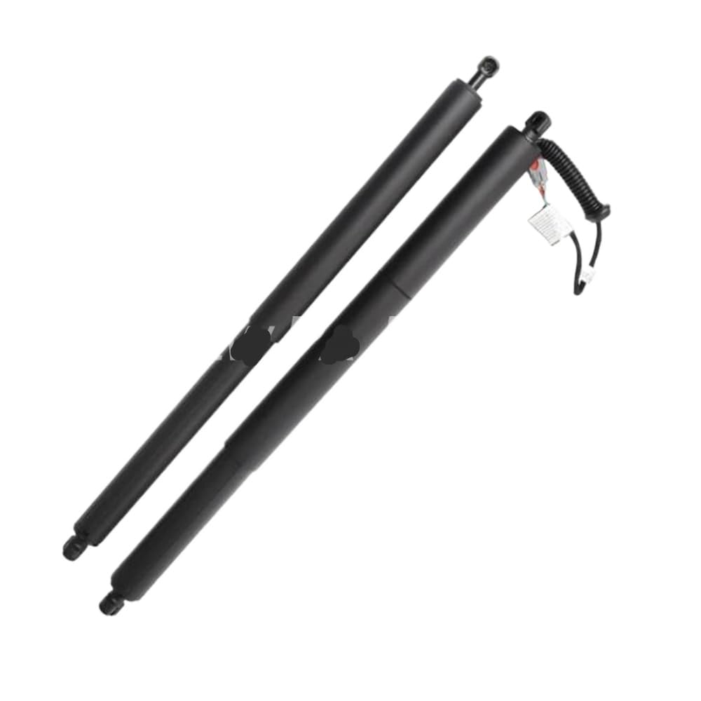Elektrische Heckklappe Gasunterstützung Struts kompatibel mit Rogue Import Models 2015 bis 2018 FT4Z14B351A105 FT4Z58406A10B PACE von PHOVYAFI