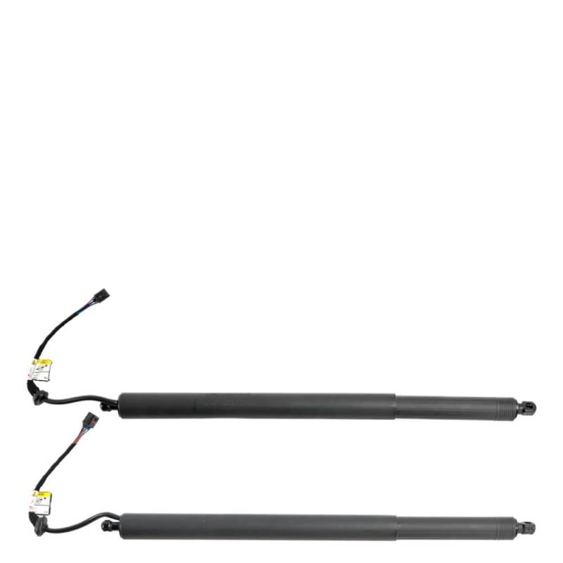 Heck -Trunk -Power -Luken -Hebeunterstützung Opener Elektrische Heckklappenstrümpfe kompatibel mit 2018 Santa Fe Models 81830S3100 81840S3100 von PHOVYAFI