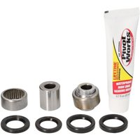 Reparatursatz, Federbein PIVOT WORKS PWSHK-S08-021 von Pivot Works