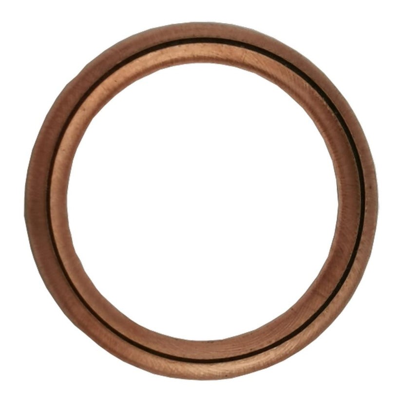 PLANET TECH Dichtring Ölablaßschraube PL3134 PLANET TECH Dichtring Ölablaßschraube PL3134 von PLANET TECH