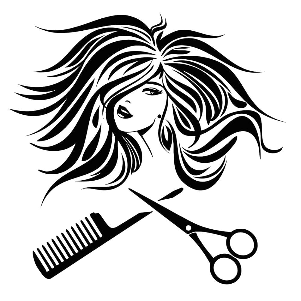 PMSMT 2 x Auto-Aufkleber Frau Schönheit Friseur Haar Salonvinyl schwarz/silber Autoaufkleber 15,3 cm x 15 cm schwarz PMSMT 2 x Auto-Aufkleber Frau Schönheit Friseur Haar Salonvinyl schwarz/silber Autoaufkleber 15,3 cm x 15 cm schwarz von PMSMT