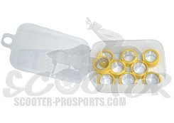 Polini Rollensatz 19 x 10,2 mm - Set mit 9 Rollen für optimale Leistung und Fahrverhalten von POLINI