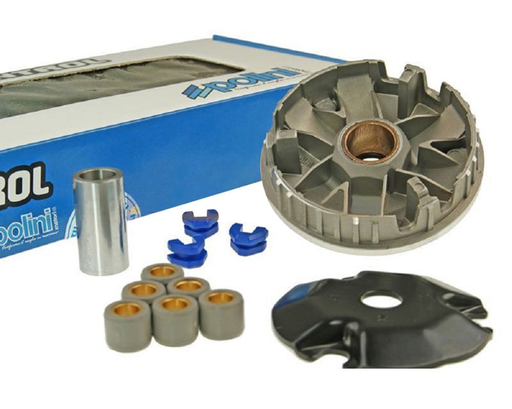 Variomatik POLINI Speed Control - ZHEJ. LINGTIAN LB50QT-21 B11 Variomatik POLINI Speed Control - ZHEJ. LINGTIAN LB50QT-21 B11 von POLINI
