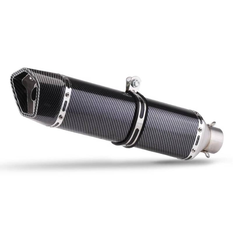 PQAIECXD Motorradauspuff Kompatibel Mit G310GS Motorrad Modifizierter Auspuffschalldämpfer 51mm Motorradauspuffrohr Modifizierter Schalldämpfer Langer Stil(C) von PQAIECXD