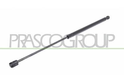 Prasco Gasfeder, Koffer-/Laderaum [Hersteller-Nr. FT1389055] für Fiat von PRASCO