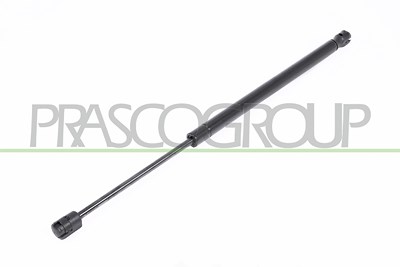 Prasco Gasfeder, Koffer-/Laderaum [Hersteller-Nr. FT3409065] für Fiat von PRASCO