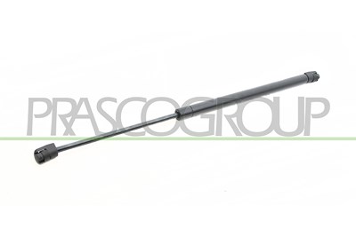 Prasco Gasfeder, Koffer-/Laderaum [Hersteller-Nr. MN3049055] für Mini von PRASCO