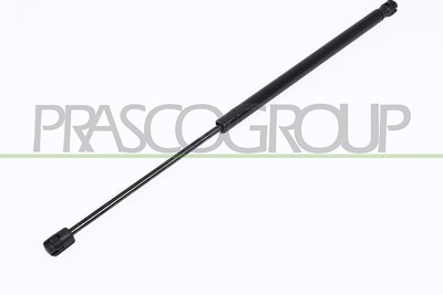 Prasco Gasfeder, Koffer-/Laderaum [Hersteller-Nr. PG0099055] für Peugeot von PRASCO